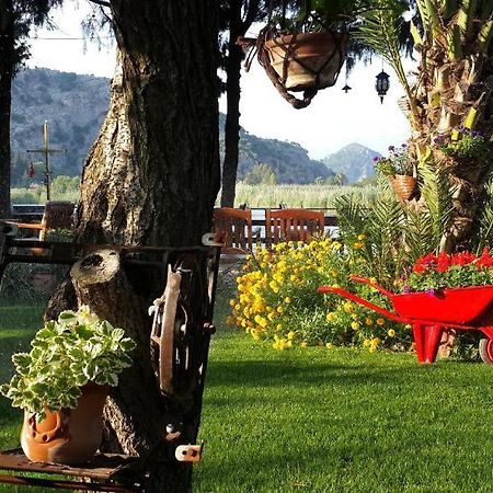 Hotel Happy Caretta Dalyan Exteriör bild