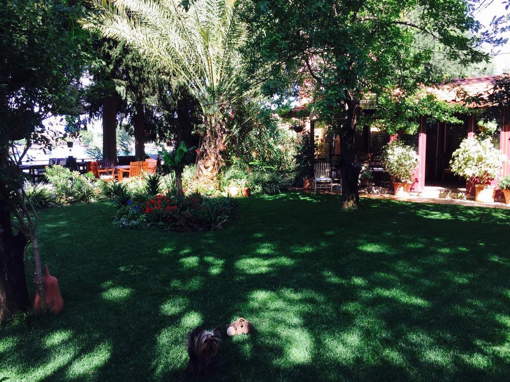 Hotel Happy Caretta Dalyan Exteriör bild