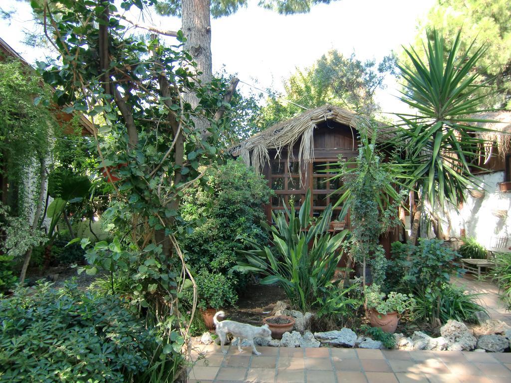 Hotel Happy Caretta Dalyan Exteriör bild