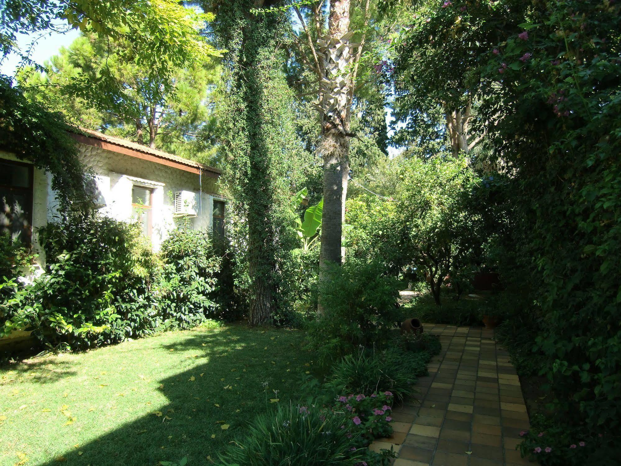 Hotel Happy Caretta Dalyan Exteriör bild