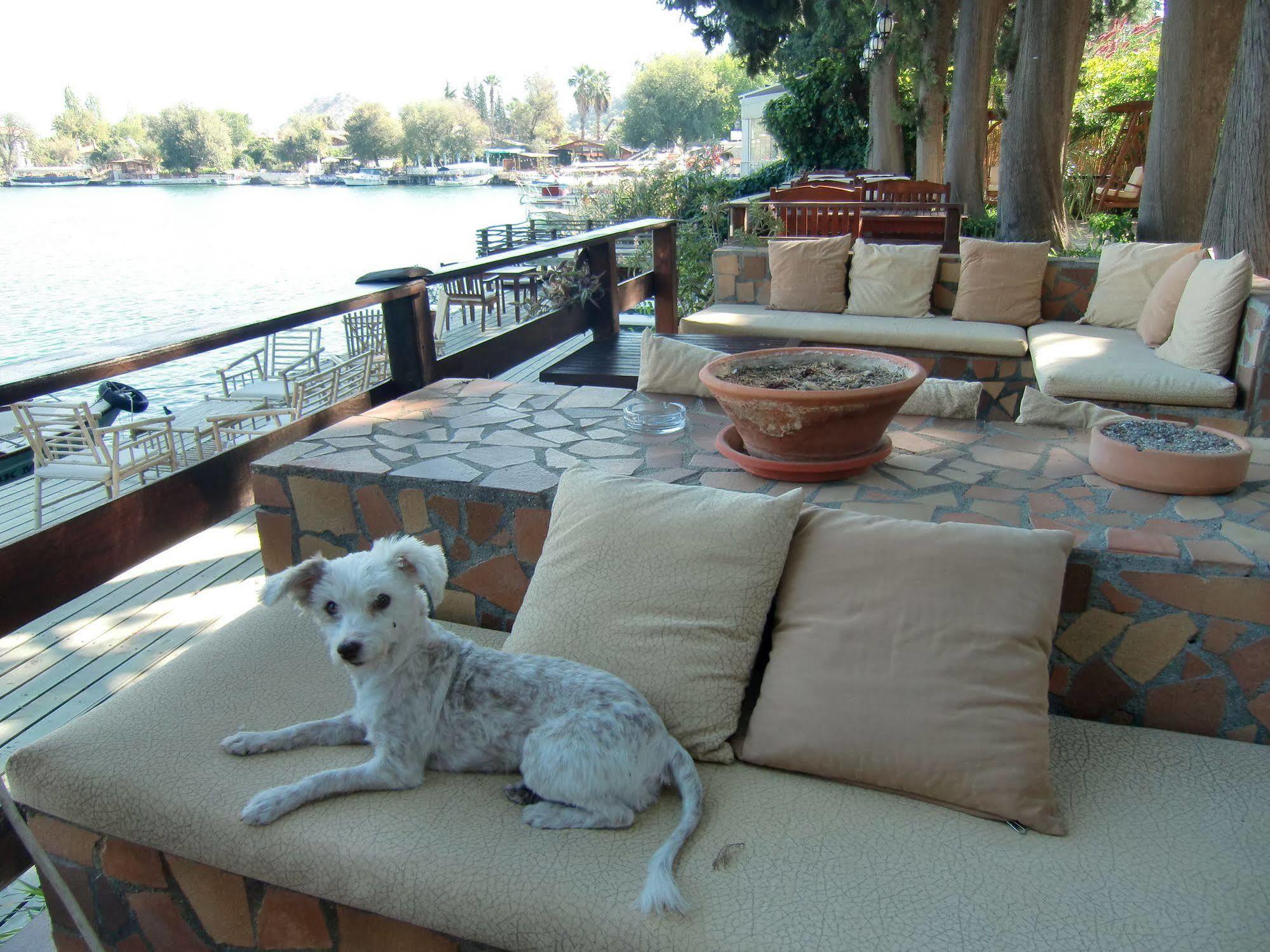 Hotel Happy Caretta Dalyan Exteriör bild